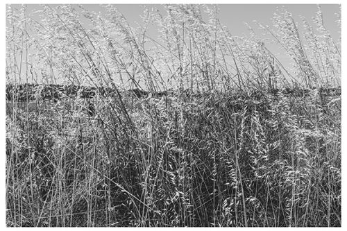 Untitled #1– Fine Art Print